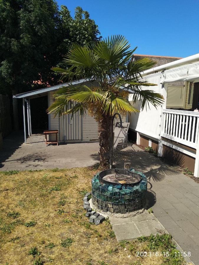 Beach Resort Nieuwvliet Bad - Nv 102 외부 사진